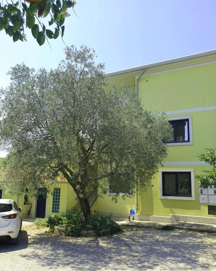 Apartments Adri, Parking In The Yard Rovigno Esterno foto