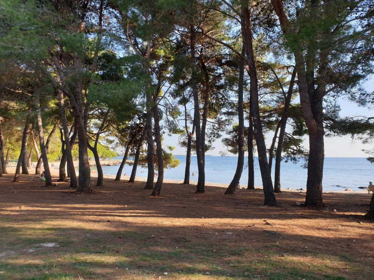 Apartments Adri, Parking In The Yard Rovigno Esterno foto